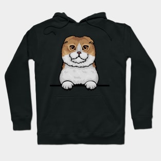 Scottish Fold Cat Hoodie